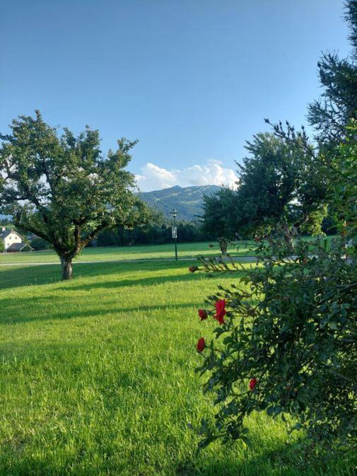 Appartement Aignerhof à Flachau Extérieur photo
